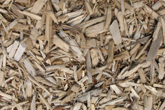 biomass boilers Llansilin